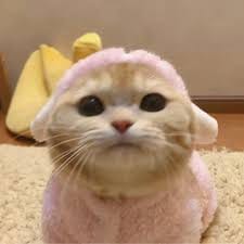 Lusi Fitriani avatar