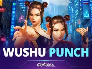 Wushu Punch™ game icon